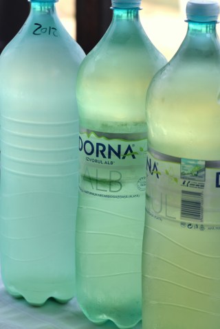 must din diferite soiuri