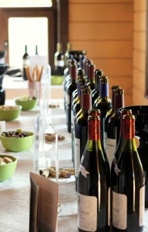 degustare vinuri SERVE