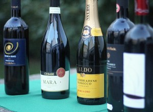 vinuri Vinitaly Deluxe