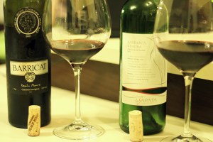 Cabernet si Babeasca