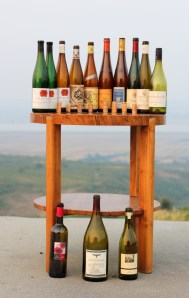 colectie de sticle goale