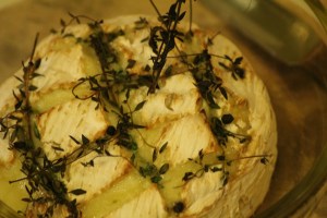 o mica gustare calda