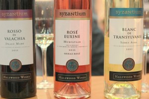 stand vinuri Goodwine