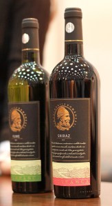 noua imagine Budureasca