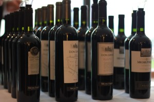 Argentinian wines