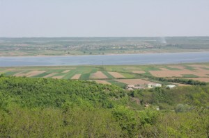 dealuri cu vii pe malul Oltului