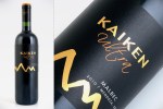 Kaiken Malbec