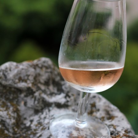 Busuioace Domenii Cotnari 2011