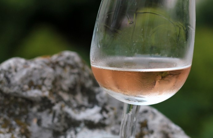 Busuioace Domenii Cotnari 2011