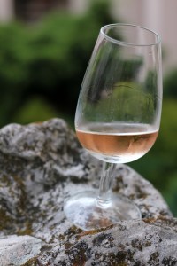 Busuioace Domenii Cotnari 2011