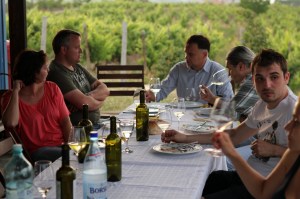 spectatorii furtunii