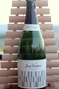 spanish sparkling wine