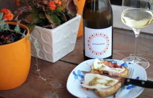 Epicentrum 2012 Crama Girboiu