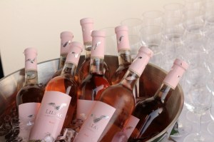 frapiera plina de Lilieci roz