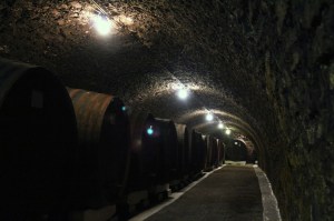 pivnita medievala cu butoaie