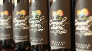 vinuri Feteasca Neagra