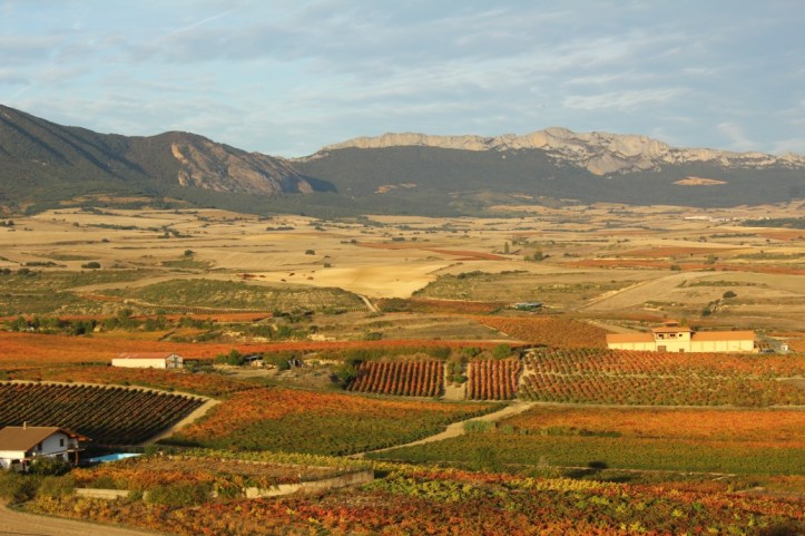 view of Rioja