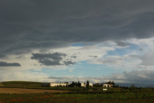 vii in Rioja # DWCC 2013