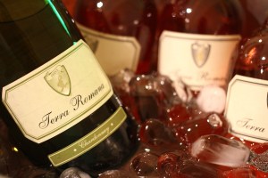Roze si Chardonnay Terra Romana
