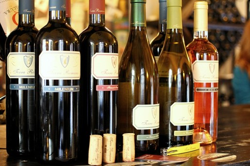 aliniere de vinuri SERVE