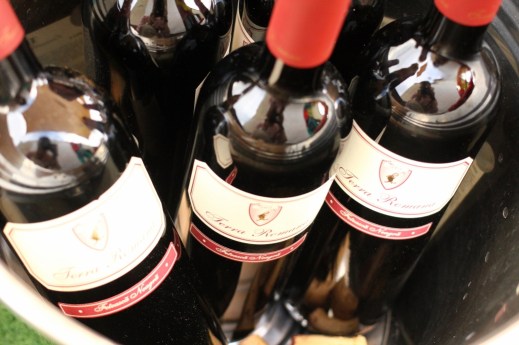 Feteasca neagra Terra Romana