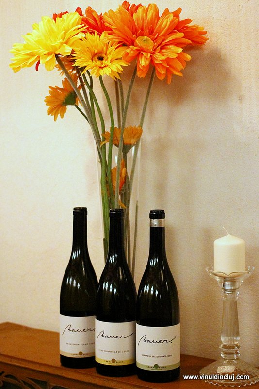 natura statica cu Bauer si flori