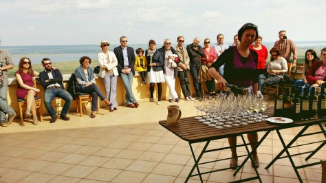 terasa de deasupra Oltului