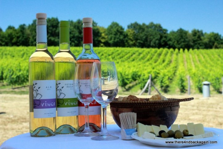 degustare Crama Vinca