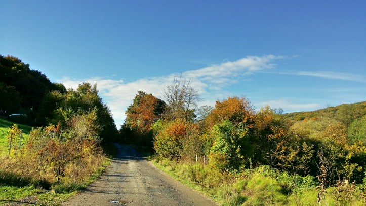 plimbare prin padure toamna