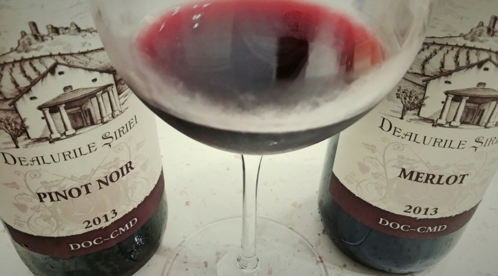 Merlot si Pinot Noir 2013 Minis