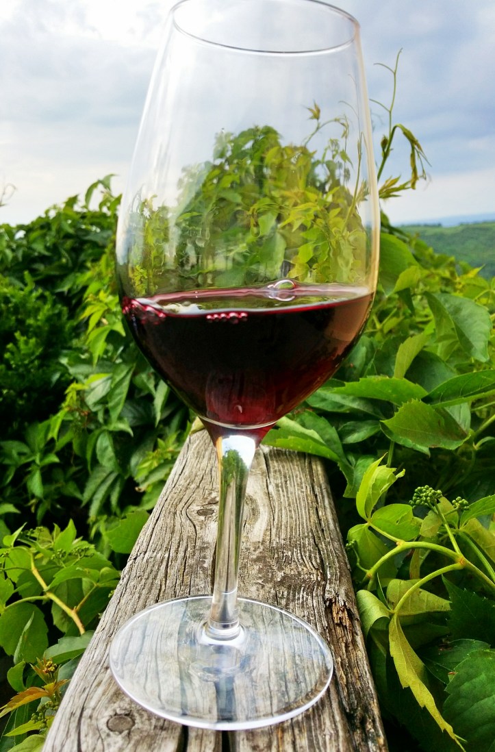 Prince Stirbey Novac 2010