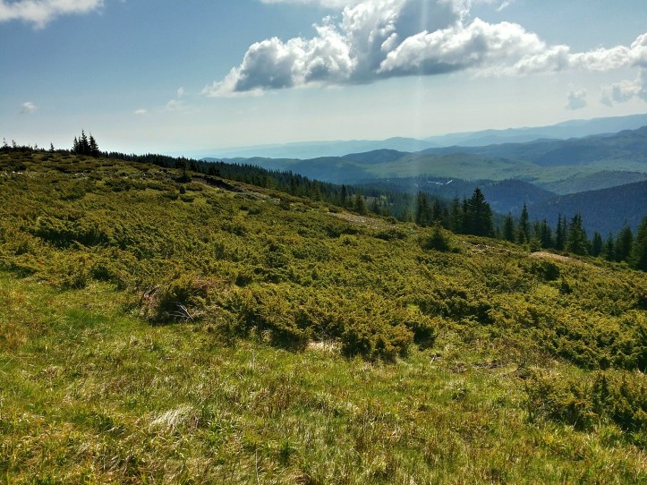 alergare prin Apuseni