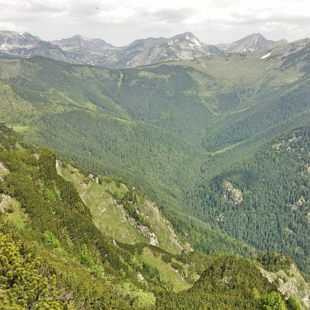 poza la Retezat Sky Race