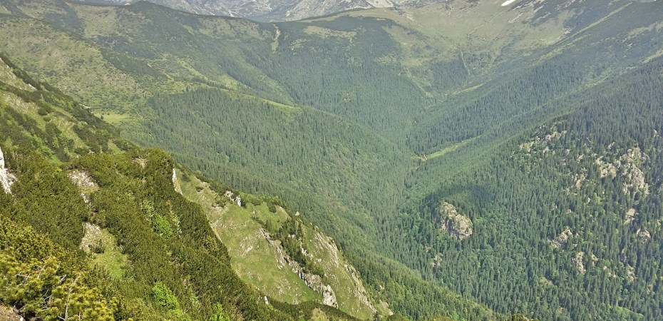 poza la Retezat Sky Race