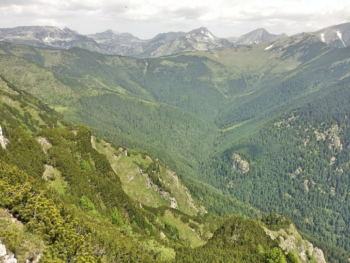 poza la Retezat Sky Race