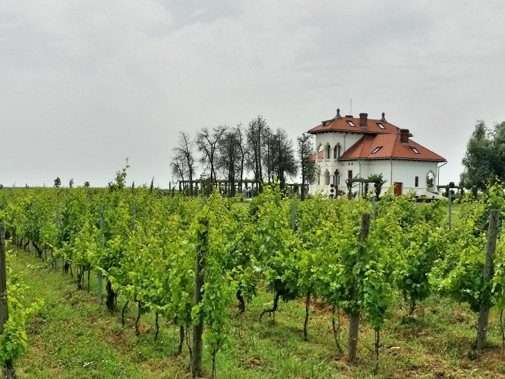 Dragasani Crama Avincis