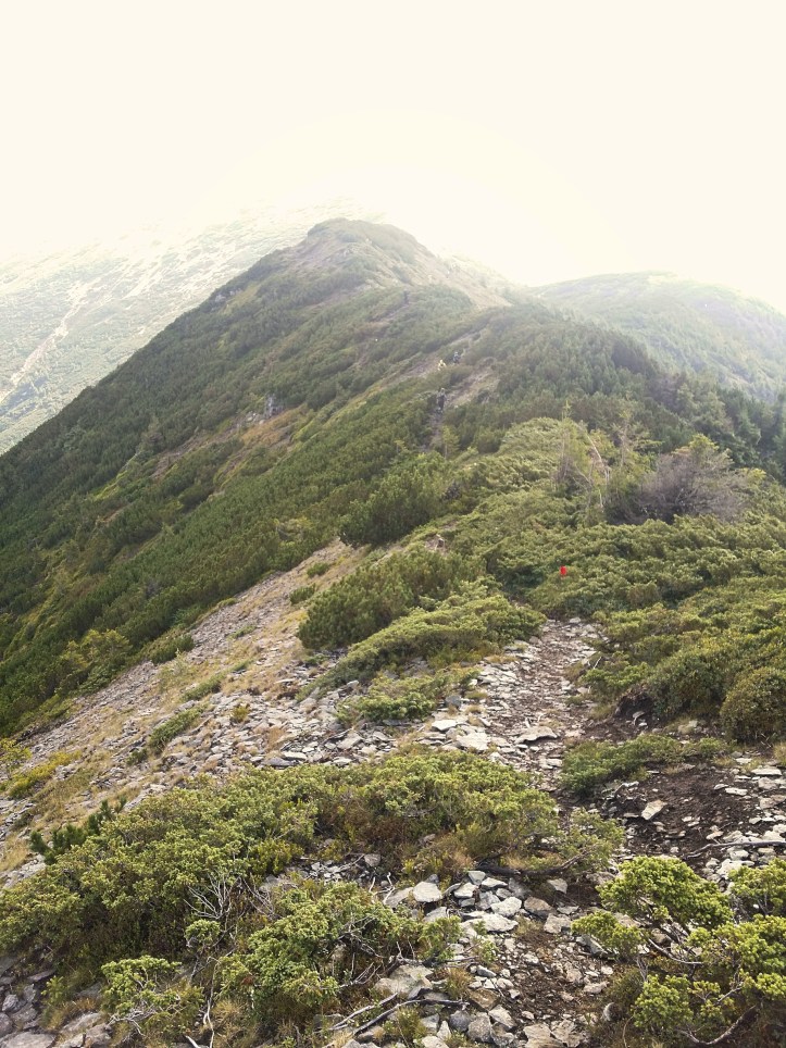 Via Maria Theresia, Varful Bistricioru