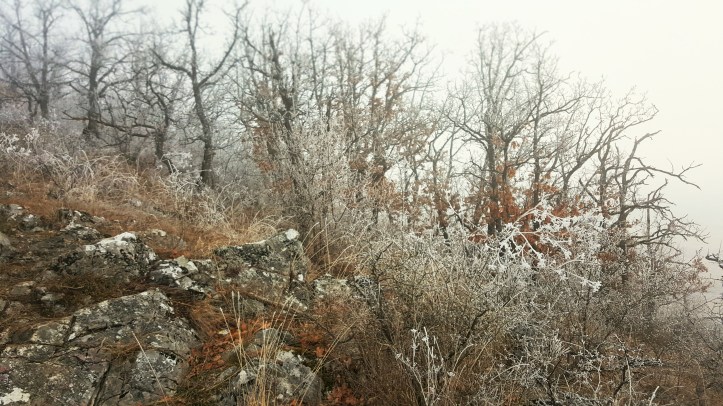 pe stancile de la Suncuius